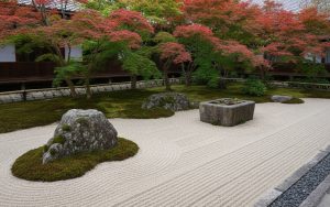 Jardin zen japonais avec pierres, sable ratissé et bassin d'eau, entouré de plantes zen.