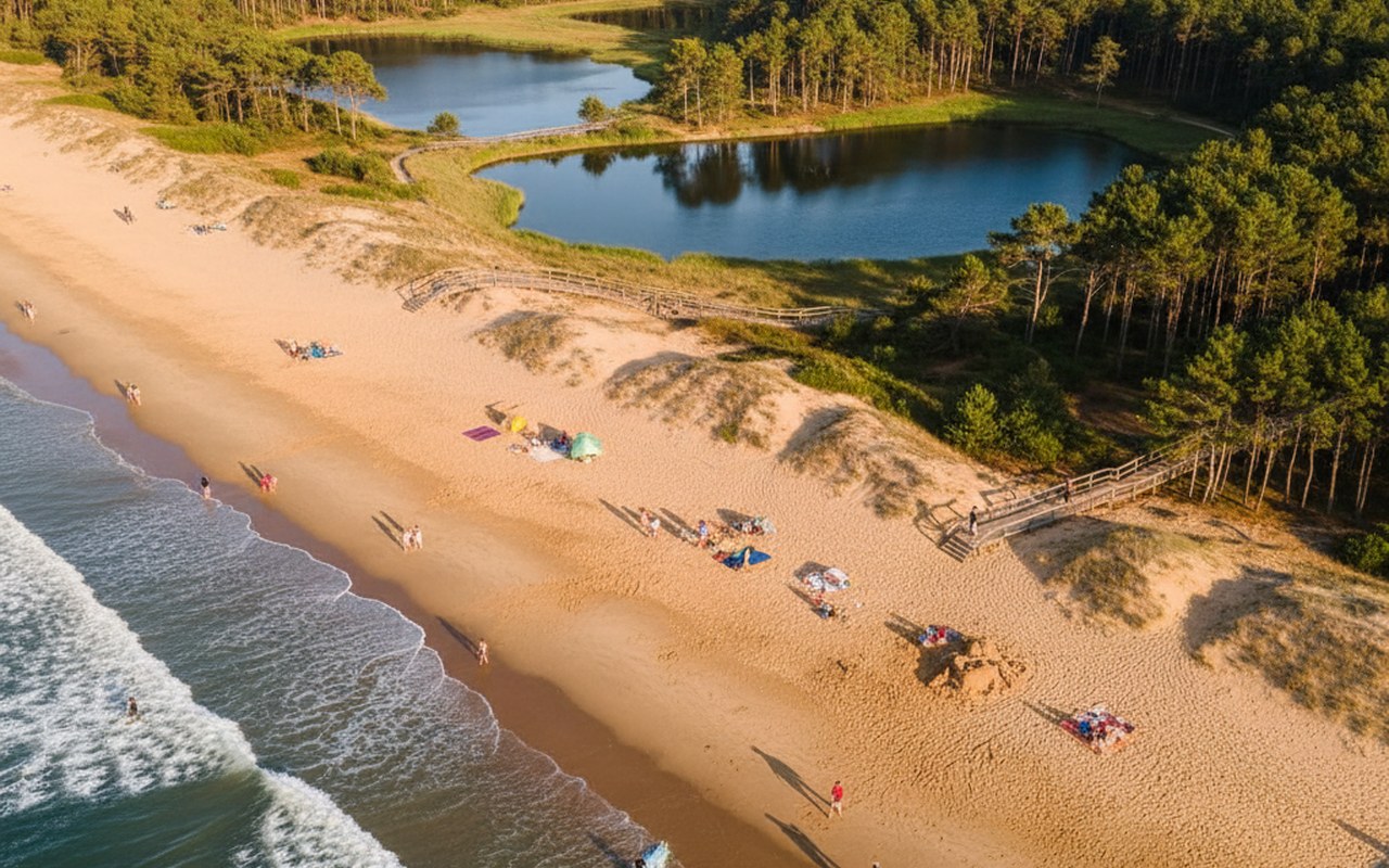 Plage des Landes avec des surfeurs et des familles, entourée de pins et de lacs.